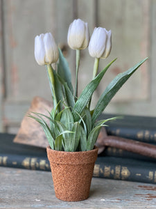 Cream Holland Tulip Pot | 12"