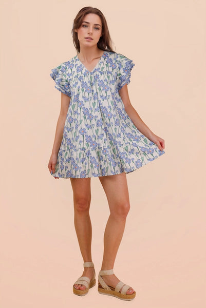 Floral Printed Ruffled Mini Dress | Blue