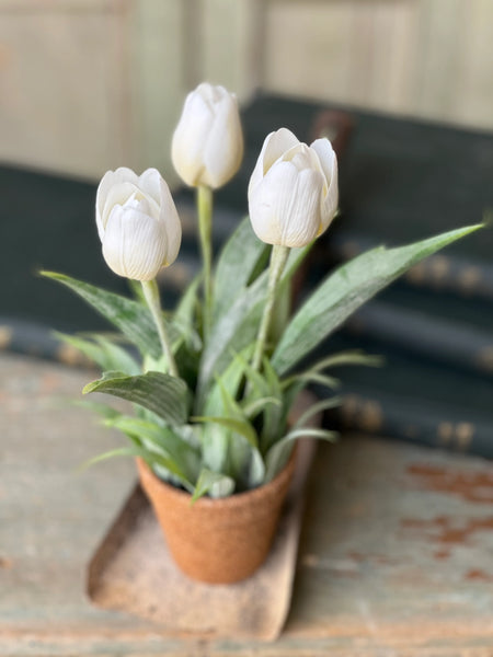 Cream Holland Tulip Pot | 12"