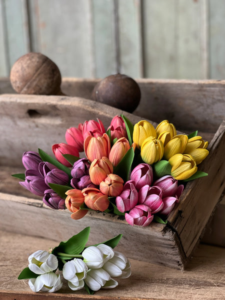 Poppet Tulip Bundles | 8.5"
