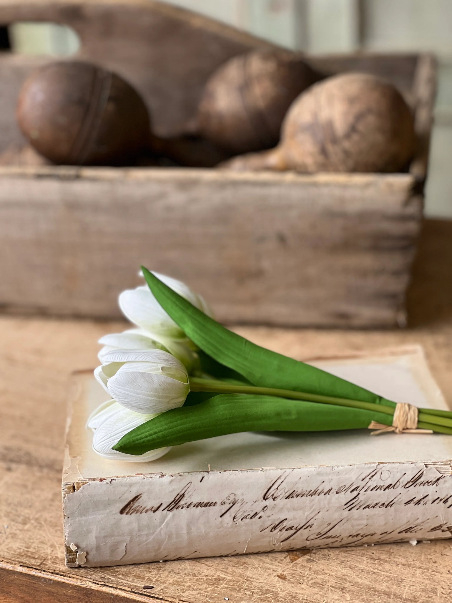 Poppet Tulip Bundles | 8.5"