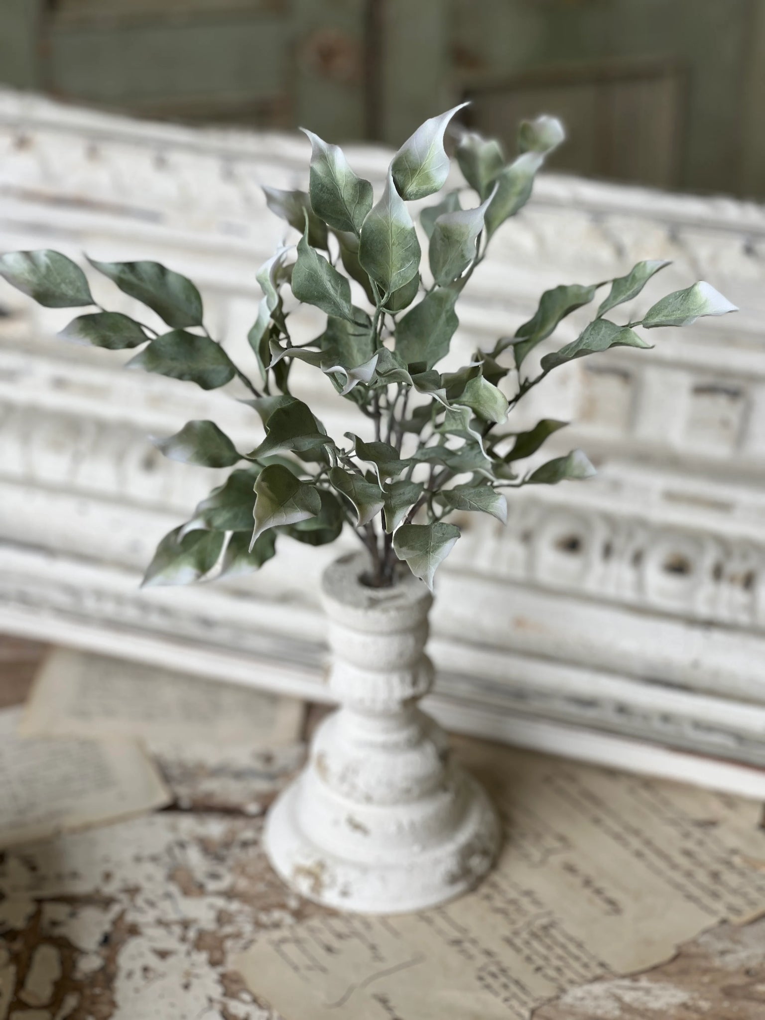Gallivanting Greens Bush | 13.5"