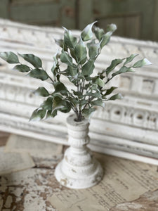 Gallivanting Greens Bush | 13.5"