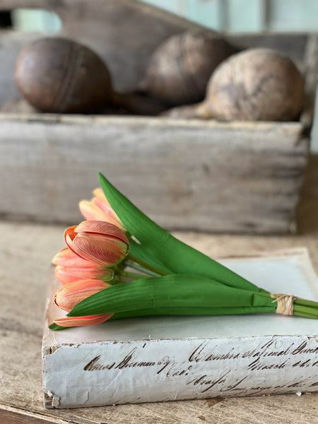 Poppet Tulip Bundles | 8.5"