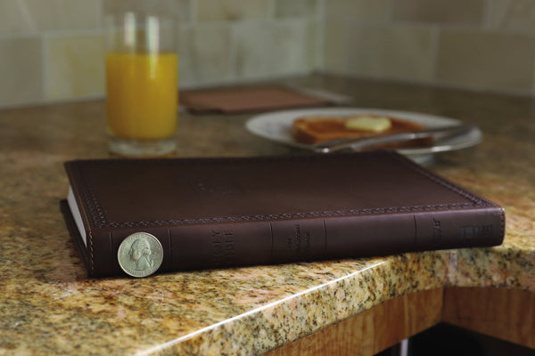 NIV Bible Large Print | Value Thinline Brown