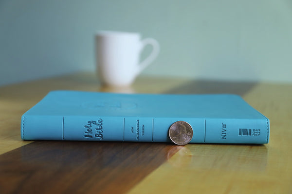 NIV Bible Large Print | Value Thinline Teal