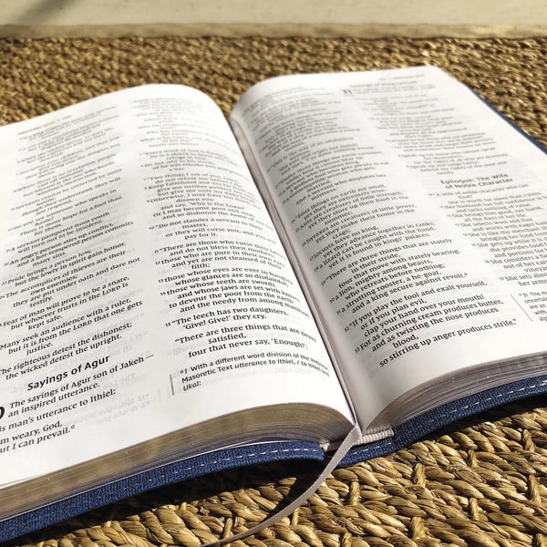 NIV Bible For Teens | Thinline Blue