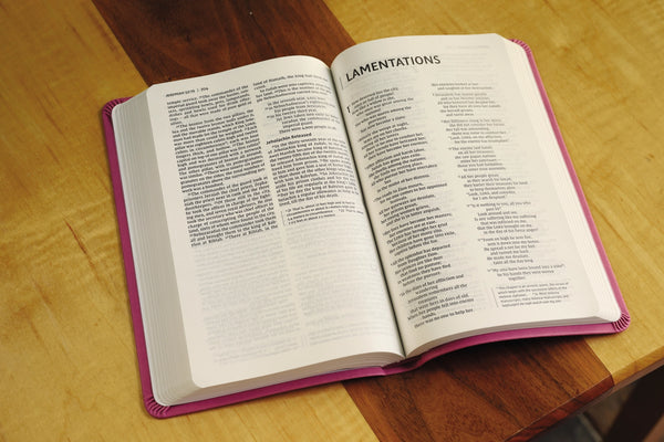 NIV Bible | Value Thinline Pink