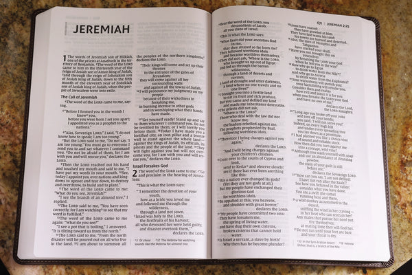 NIV Bible Large Print | Value Thinline Brown