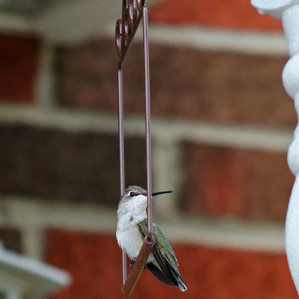 Pop's Original Hummingbird Swing | Brown
