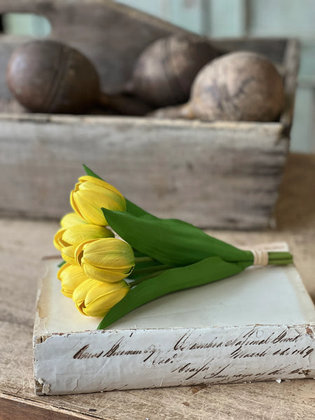 Poppet Tulip Bundles | 8.5"