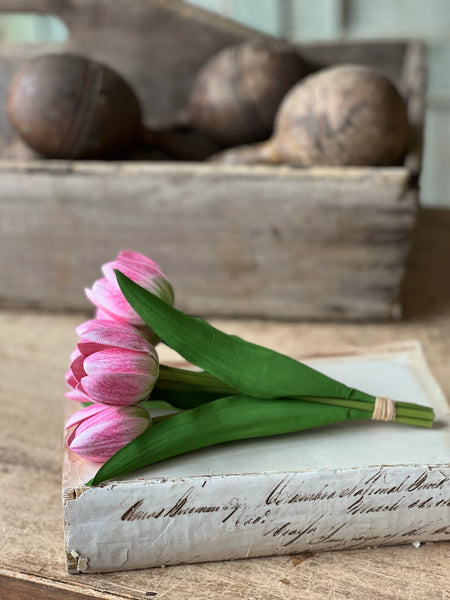 Poppet Tulip Bundles | 8.5"