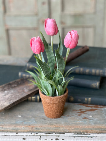 Pink Holland Tulip Pot | 12"