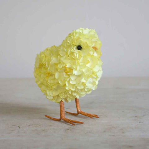 Hydrangea Chick Yellow