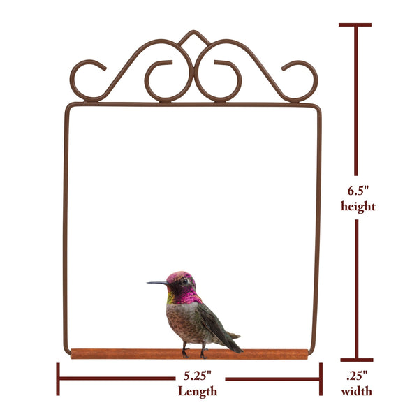 Pop's Original Hummingbird Swing | Brown