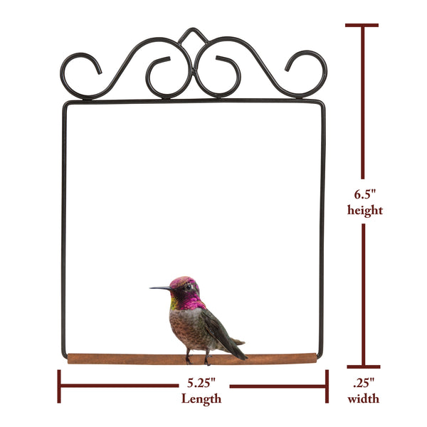 Pop's Original Hummingbird Swing | Black