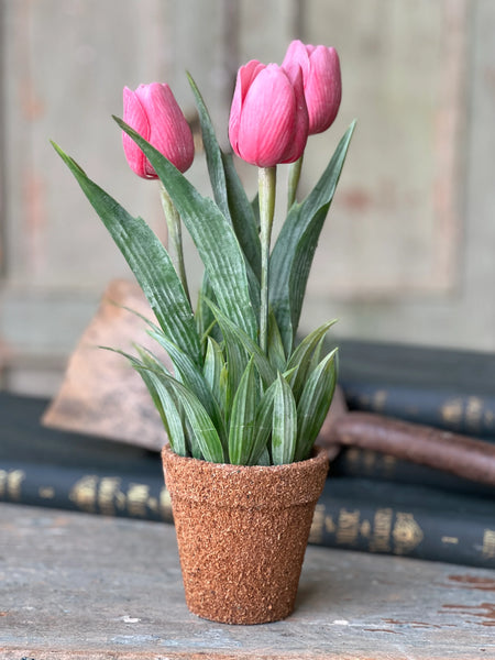Pink Holland Tulip Pot | 12"
