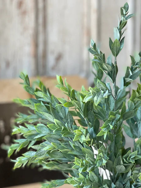 21" Rainwashed Bush