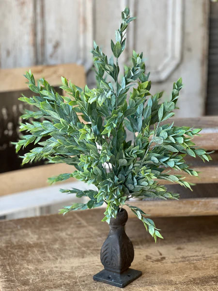 21" Rainwashed Bush