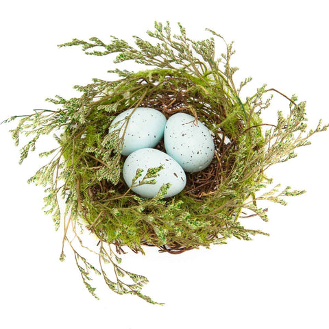 Robin Egg Nest Green/Light Blue