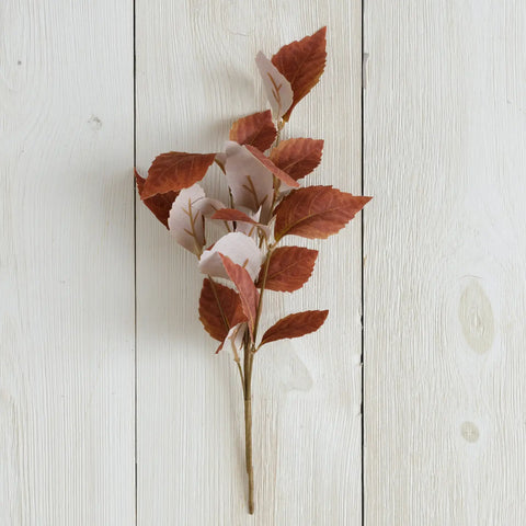 Fall Leaves Pick| Brown