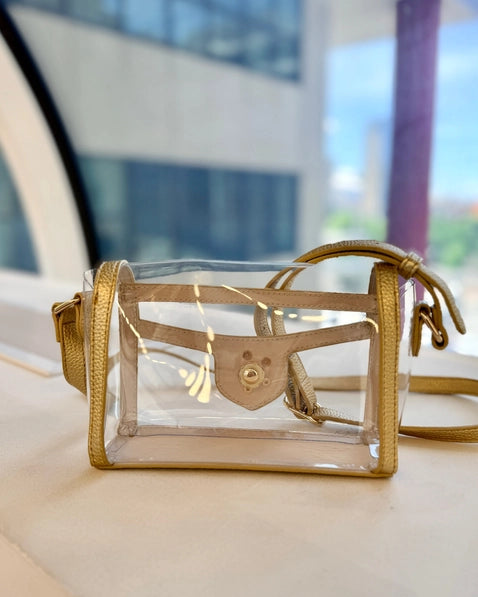 Anna Clear Bag | Gold