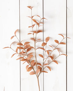 Cocoa Fall Foliage Branch