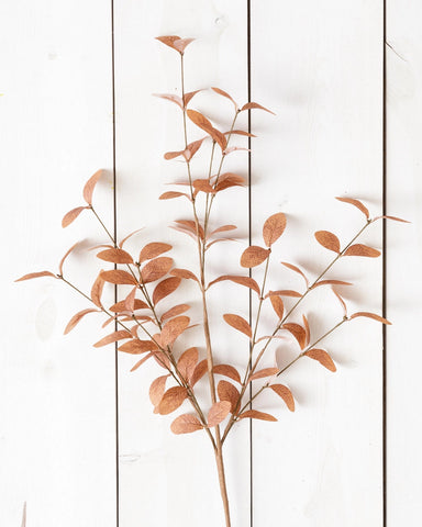 Cocoa Fall Foliage Branch