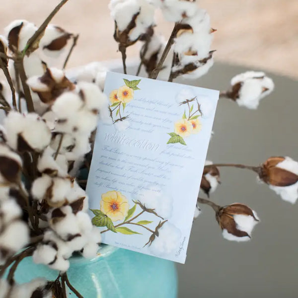 White Cotton Sachets | Clean, Laundry Scent