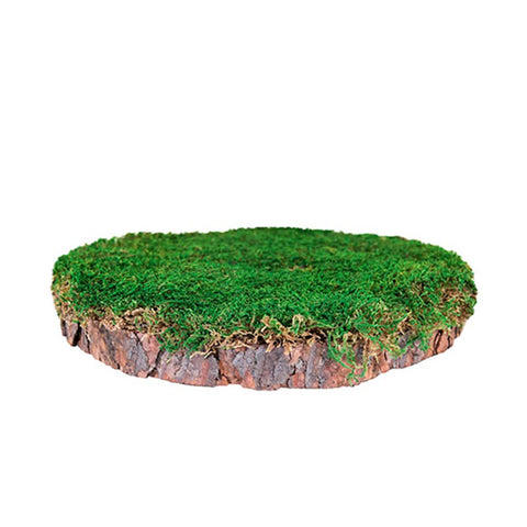 Mossy Stump