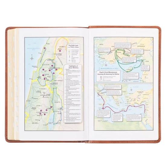 KJV Bible Deluxe Gift Faux Leather