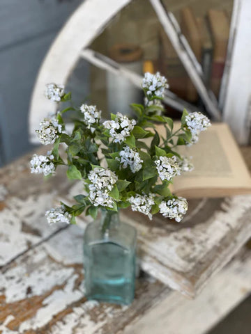 11" Late Bloomer Bush | White