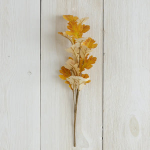 Fall Oak Leaf Stem