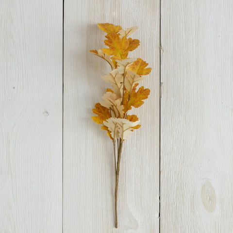 Fall Oak Leaf Stem