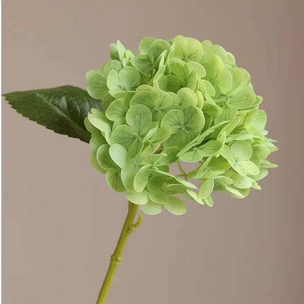 12.5"Real Touch Lifelike Hydrangea-6”Bloom | Fresh Soft Green