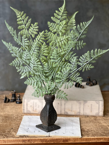 Longacre Fern Bundle | 20" | Laceleaf