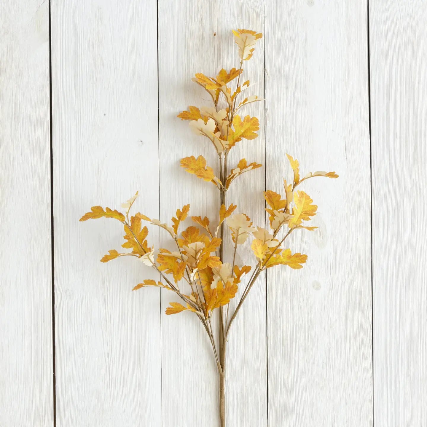 Orange Oak Leaves Branch