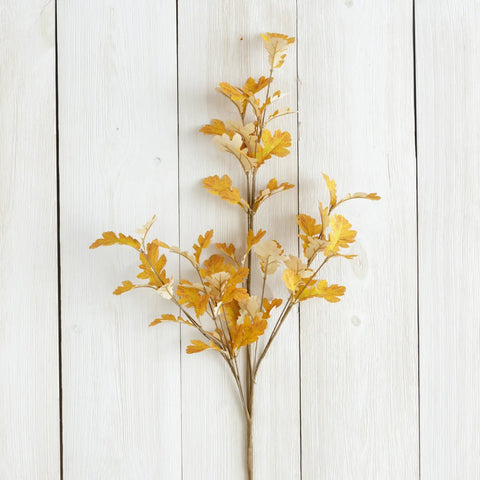 Orange Oak Leaves Branch