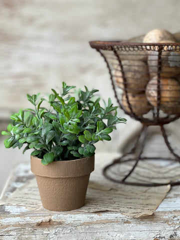 6" Gatehouse Herb Pot