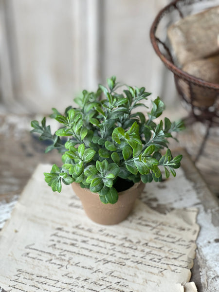 6" Gatehouse Herb Pot