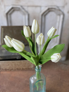 Tulip Time|14.5"| White Tulips