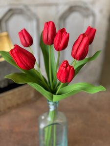Tulip Time | 14.5" | Red