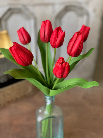 Tulip Time | 14.5" | Red