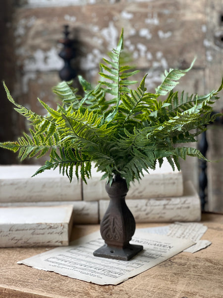 Ruffian Fern Bush | 16” | Shadow