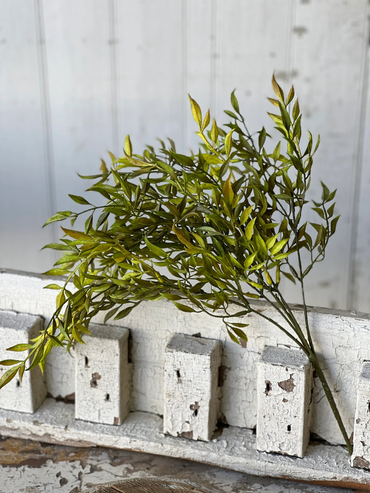 19" Smilax Bush