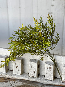 19" Smilax Bush