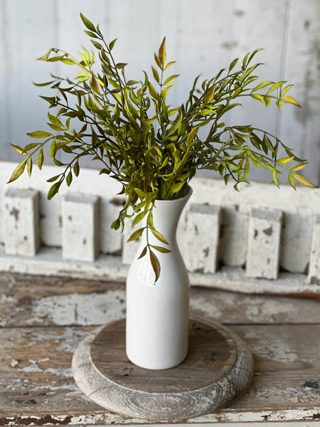 19" Smilax Bush