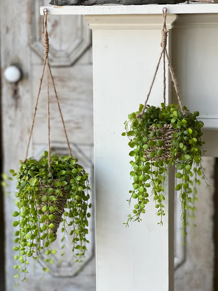 7" Brentwood Hanging Basket