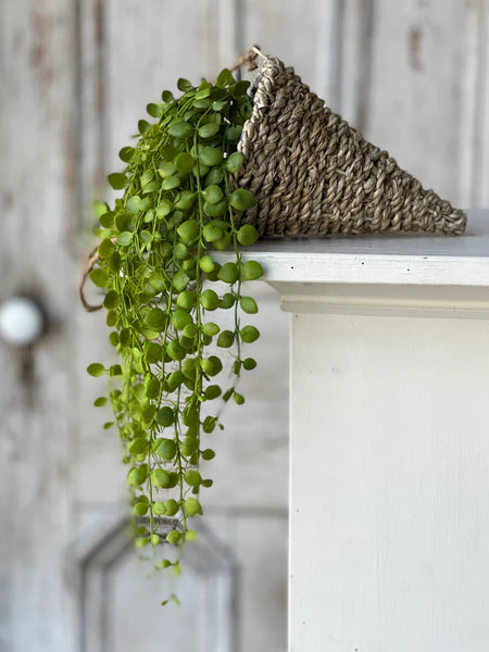 7" Brentwood Hanging Basket