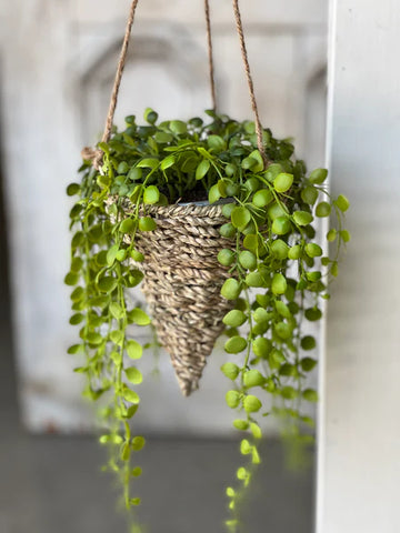 7" Brentwood Hanging Basket